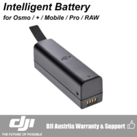 DJI Osmo Intelligent Battery High Capacity 1225mAh CP.ZM.000376
