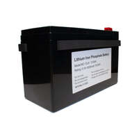 EcoXgear EcoBoulder Battery