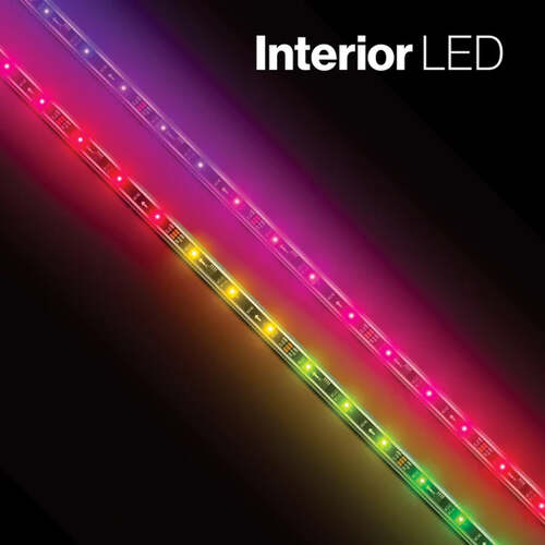 Ecoxgear Strip Interior Strip