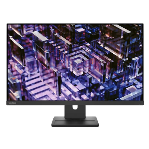 Lenovo ThinkVision E24q-30 24" 2K QHD 100Hz IPS Business Monitor